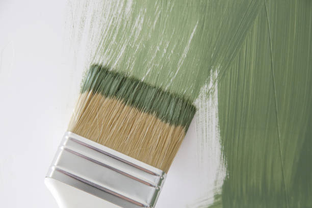 Best Basement Mold Removal  in Mukilteo, WA