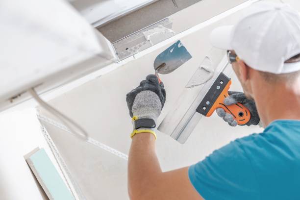 Best Air Quality Testing for Mold Spores  in Mukilteo, WA